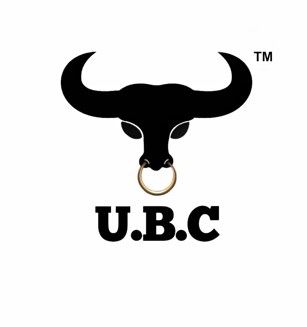 Urban Bull Collections